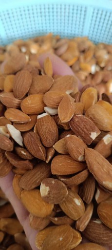 مغز بادام شاهرودی نمکی خوش طعم مخصوص تنقلات روزانه