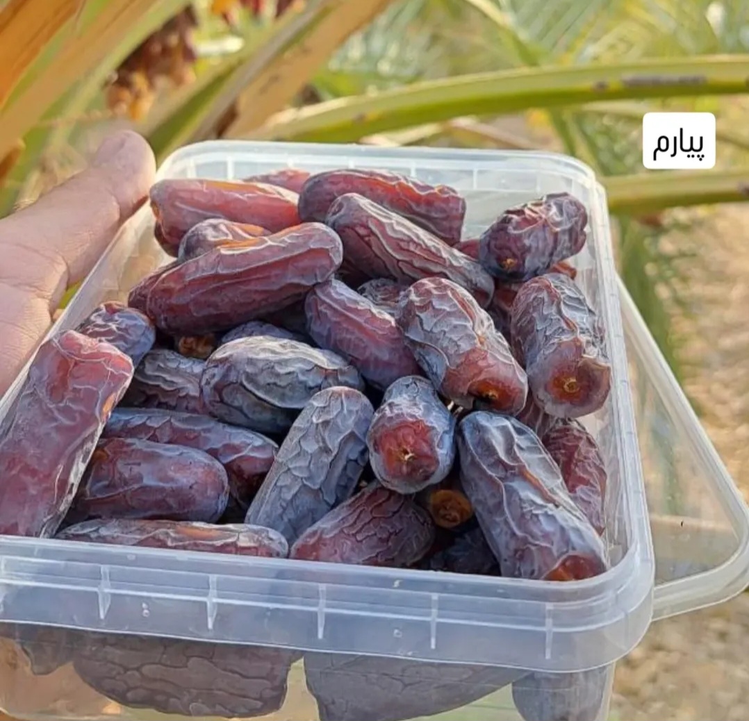 قیمت خرما پیارم صادراتی
