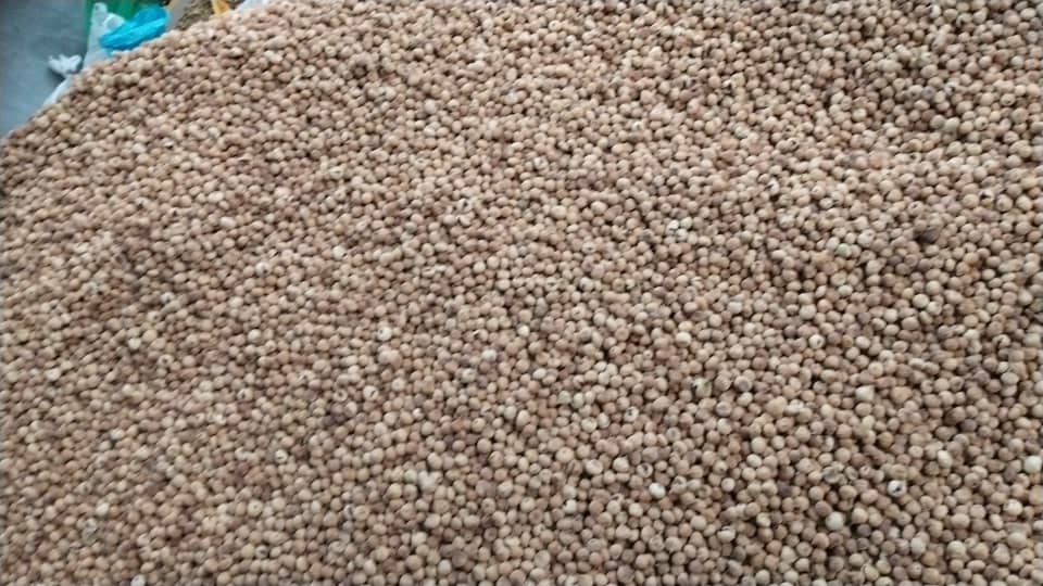 تصویر 1 از پخش ویژه انجیر خشک پرک سایز درشت با کیفیت و ارزان