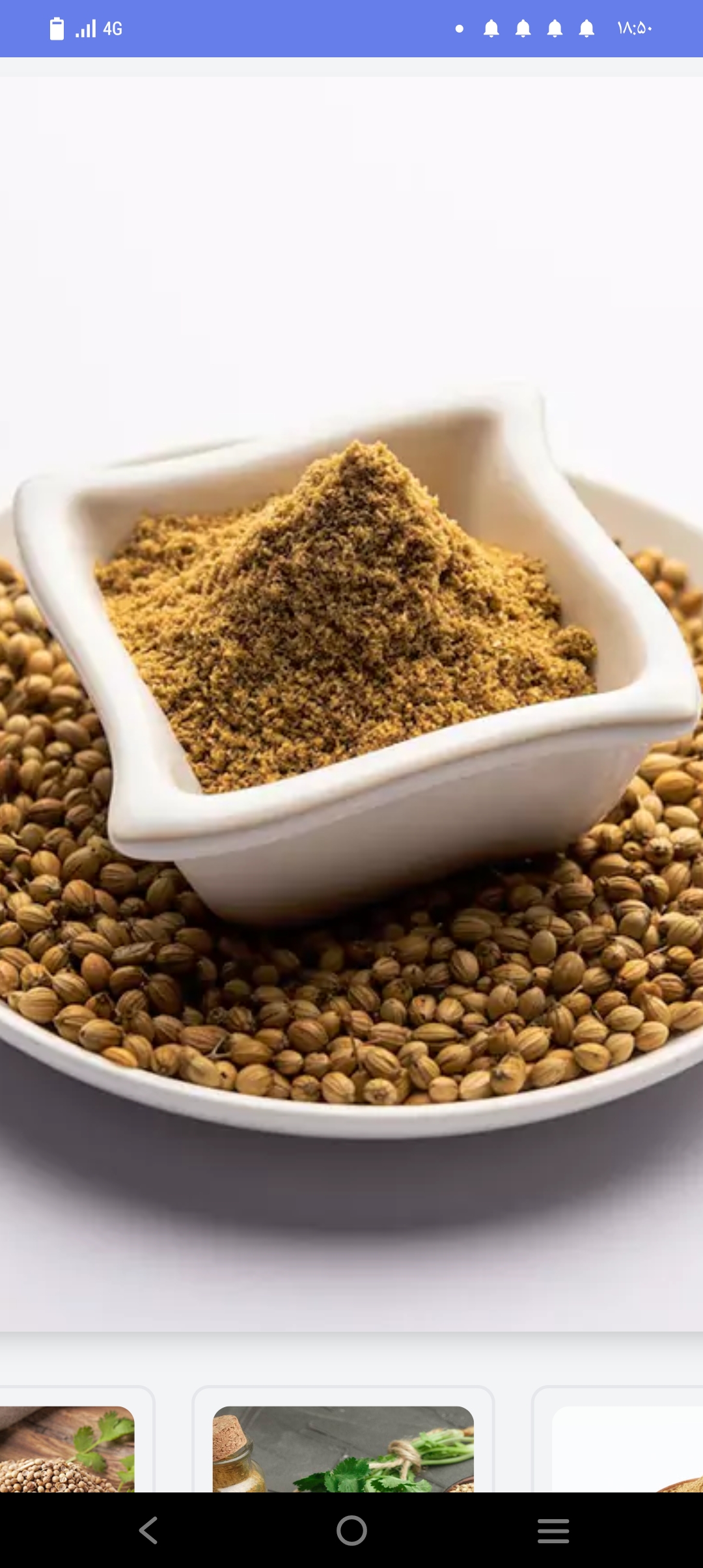 تصویر 1 از قیمت خرید بذر با کیفیت گشنیز از آناهیتا گشنیز