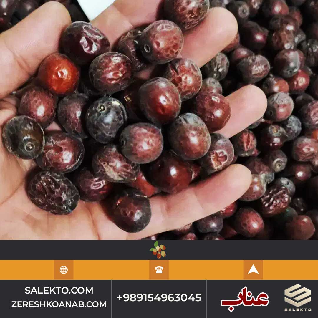 تصویر 3 از عناب امسالی قائنات سرشار از آنتی‌ اکسیدان و ویتامین‌ ها + قیمت استثنائی