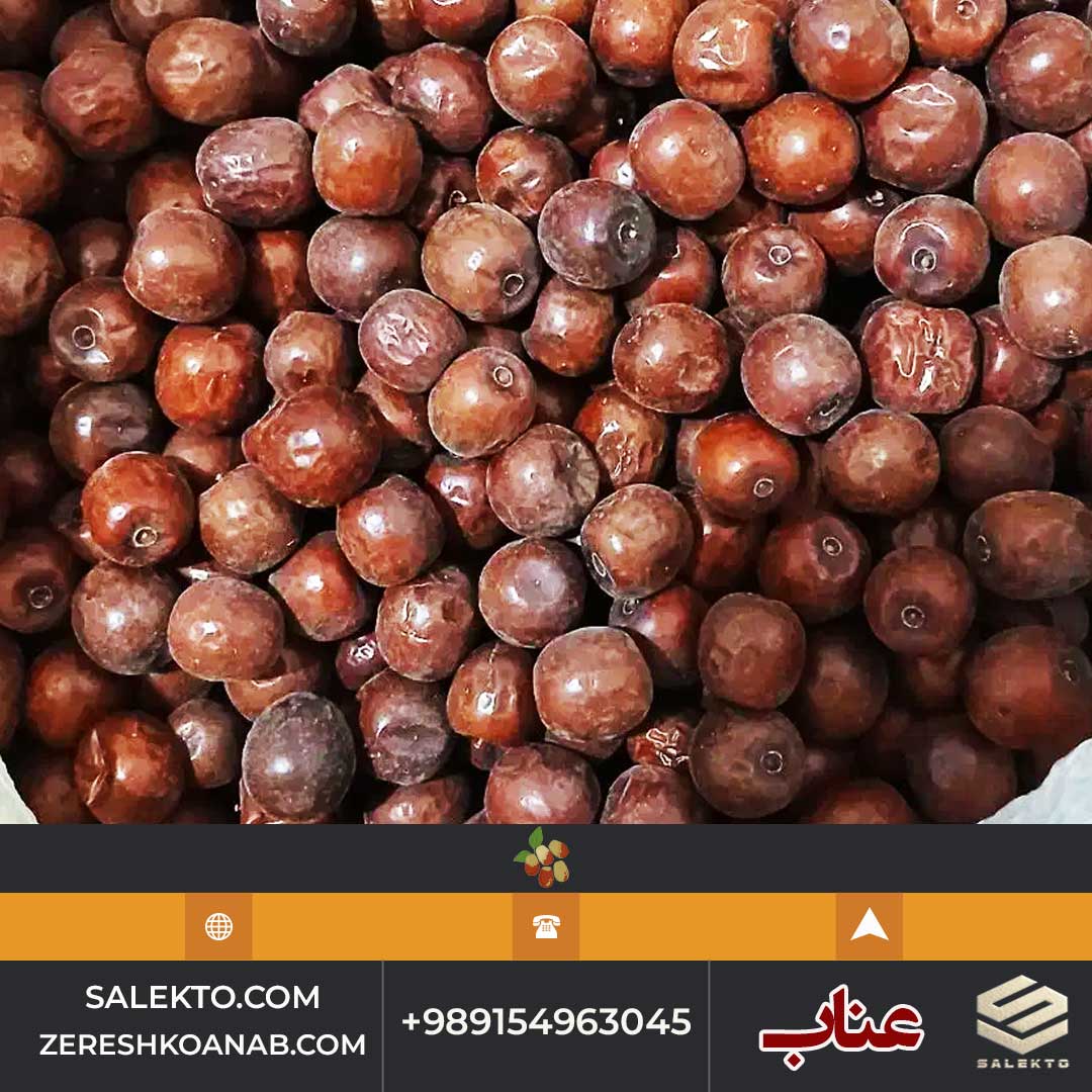 تصویر 2 از عناب امسالی خراسان جنوبی برداشت مستقیم از باغ دار + فروش فوق‌العاده