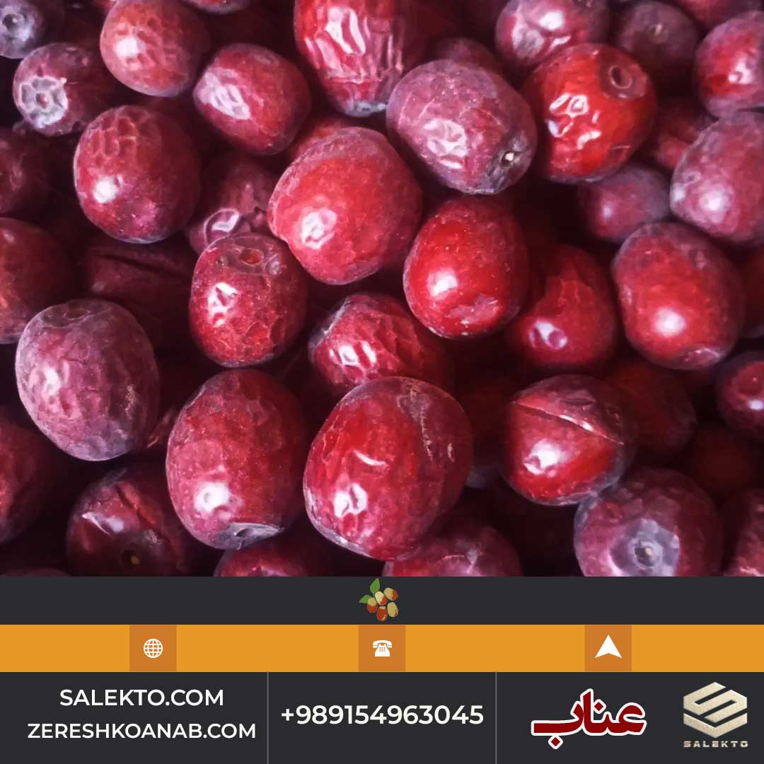 تصویر 5 از عناب امسالی خراسان جنوبی برداشت مستقیم از باغ دار + فروش فوق‌العاده