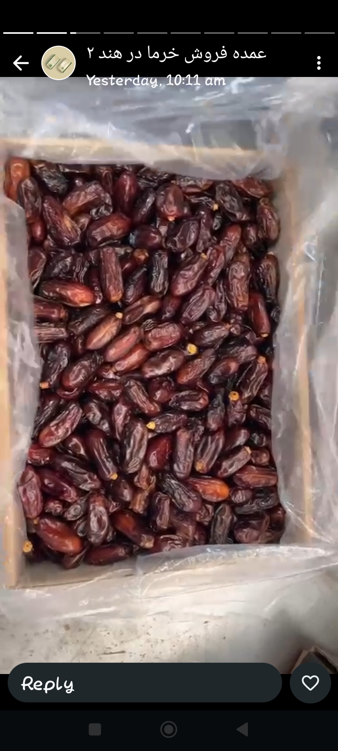 تصویر 2 از قیمت خرما ربی اعلا + فروش استثنایی