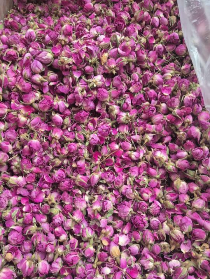قیمت عمده غنچه داراب شیراز + سورت شده و بدون نرمینه