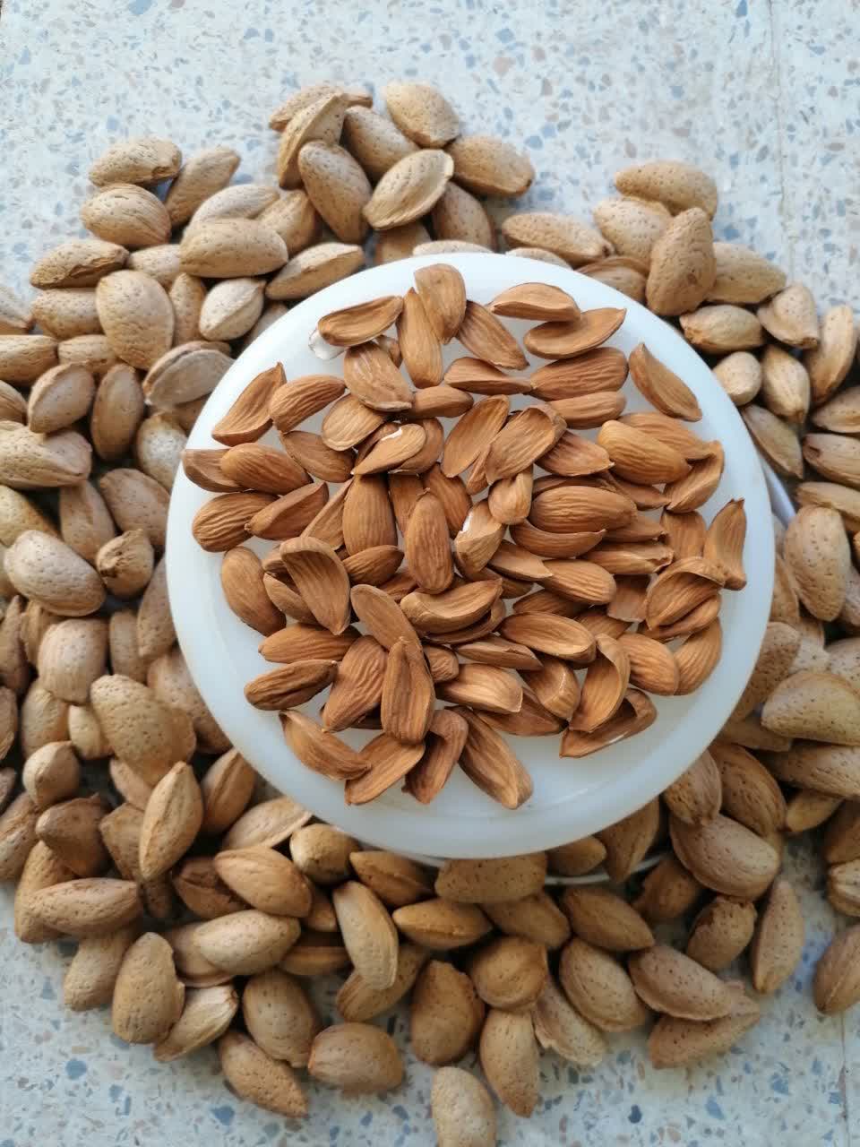 مغز بادام فلفلی تازه و اعلا در بازار آجیل و خشکبار