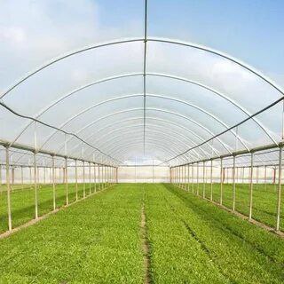 تصویر 1 از قیمت عمده نایلون گلخانه عرض 8 با 5 درصد + فروش استثنایی