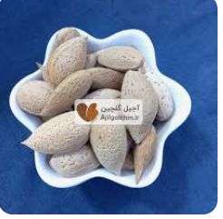 بادام درختی ممتاز خرید به صرفه