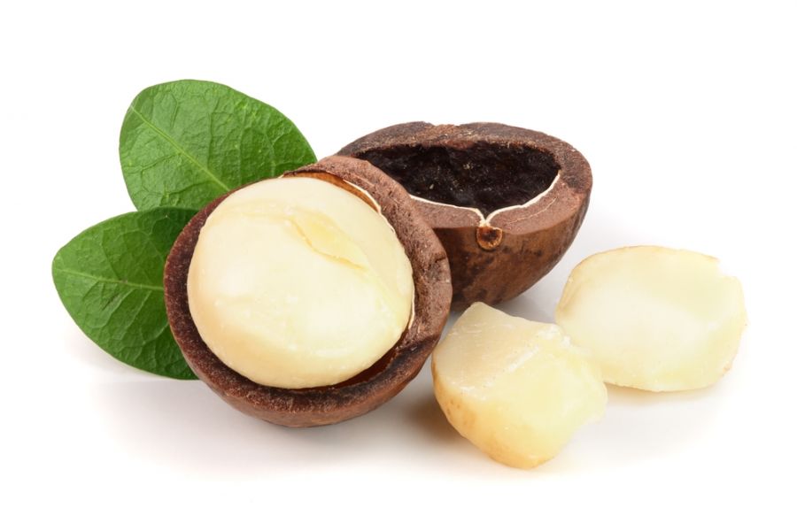 تصویر 1 از قیمت مغز فندق جنگلی + خرید باورنکردنی