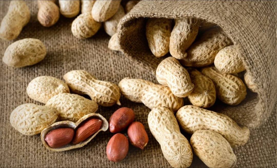تصویر 1 از قیمت مغز بادام زمینی با کیفیت  + خرید باورنکردنی