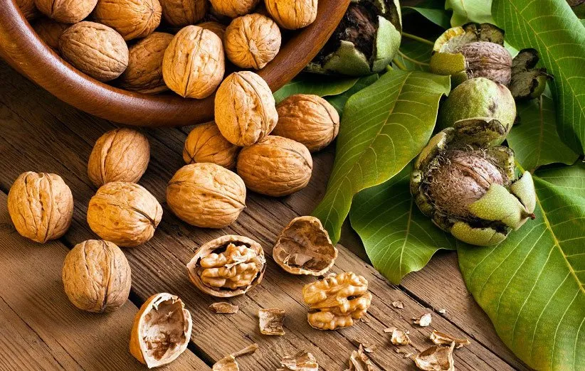 تصویر 2 از قیمت گردو با پوست ممتاز + فروش ویژه