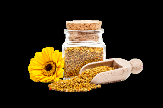 تصویر 4 از قیمت گرده گل آویشن با کیفیت ارزان + خرید عمده