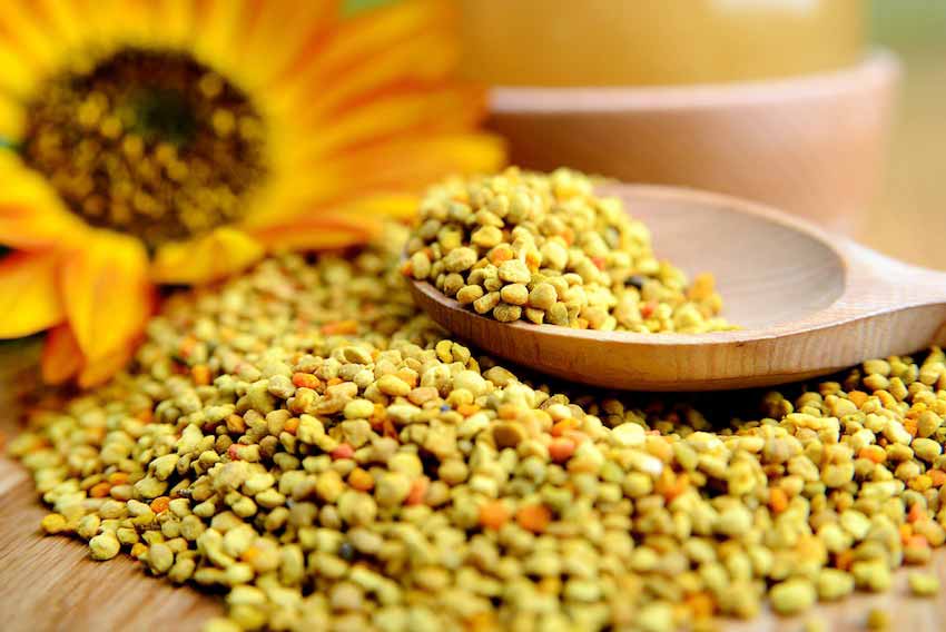 تصویر 5 از قیمت گرده گل زنبور عسل با کیفیت ارزان + خرید عمده
