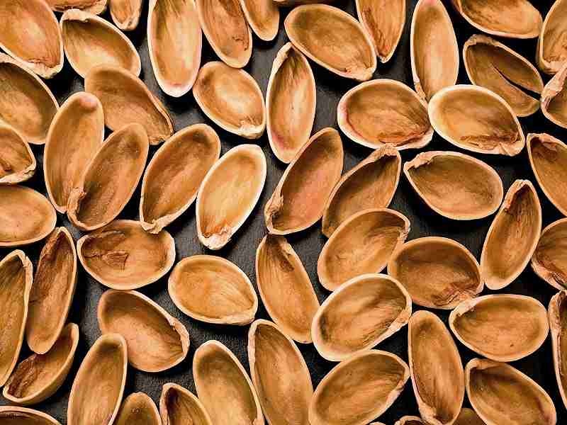 تصویر 3 از قیمت خرید پوست پسته عمده به صرفه و ارزان