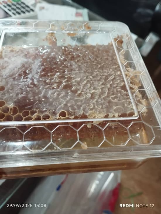 تصویر 1 از قیمت خرید مستقیم عسل خالص از تولید کننده