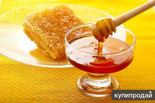 تصویر 5 از قیمت عسل گشنیز امروز بازار + شرایط خرید