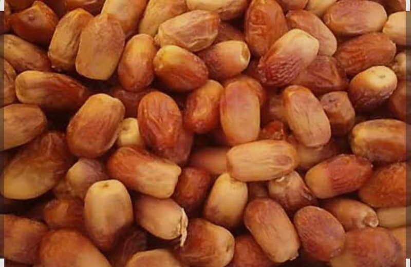 تصویر 1 از فروش خرما زاهدی بوشهر + قیمت کارخانه