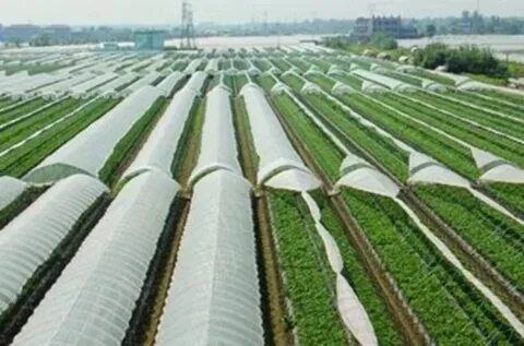 تصویر 4 از خرید و فروش انواع نایلون گلخانه نیلوفر + خرید مستقیم از کارخانه