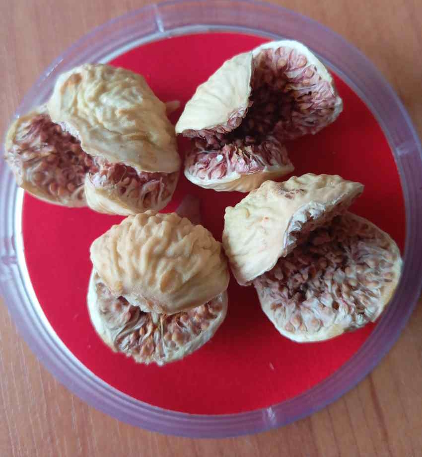 تصویر 5 از خرید انجیر خشک استهبان بی‌ واسطه مستقیم از باغدار