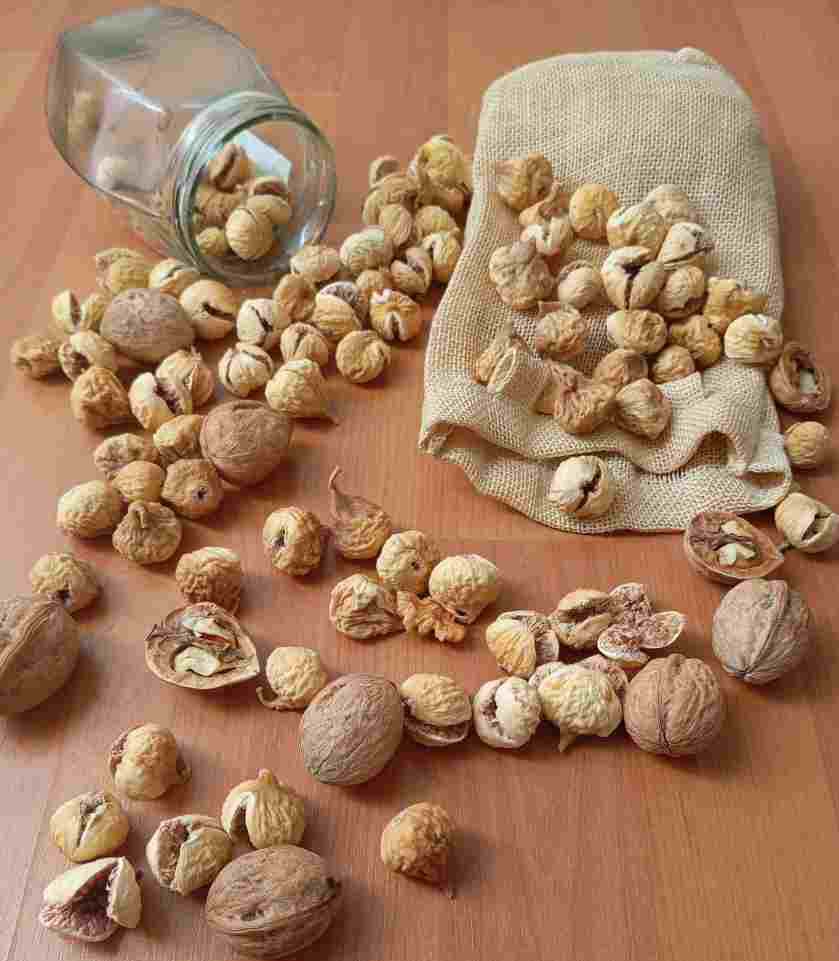 تصویر 4 از خرید انجیر خشک استهبان بی‌ واسطه مستقیم از باغدار