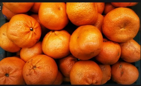 تصویر 4 از قیمت و خرید نارنگی باغ ارگانیک + فروش ارزان