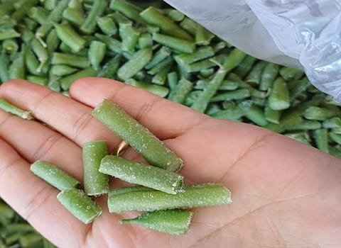 تصویر 4 از خرید و فروش لوبیا سبز منجمد با شرایط فوق العاده