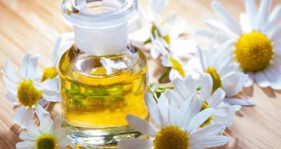 تصویر 1 از فروش عمده عصاره بابونه شیرازی مایع گرید A