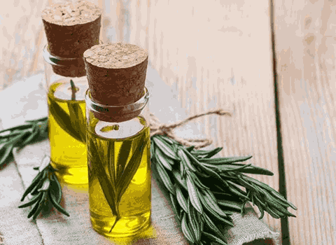تصویر 1 از فروش عمده عصاره مرزه مایع گرید A