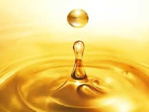 تصویر 3 از قیمت خرید روغن آفتابگردان وینترایز فله + فروش ویژه