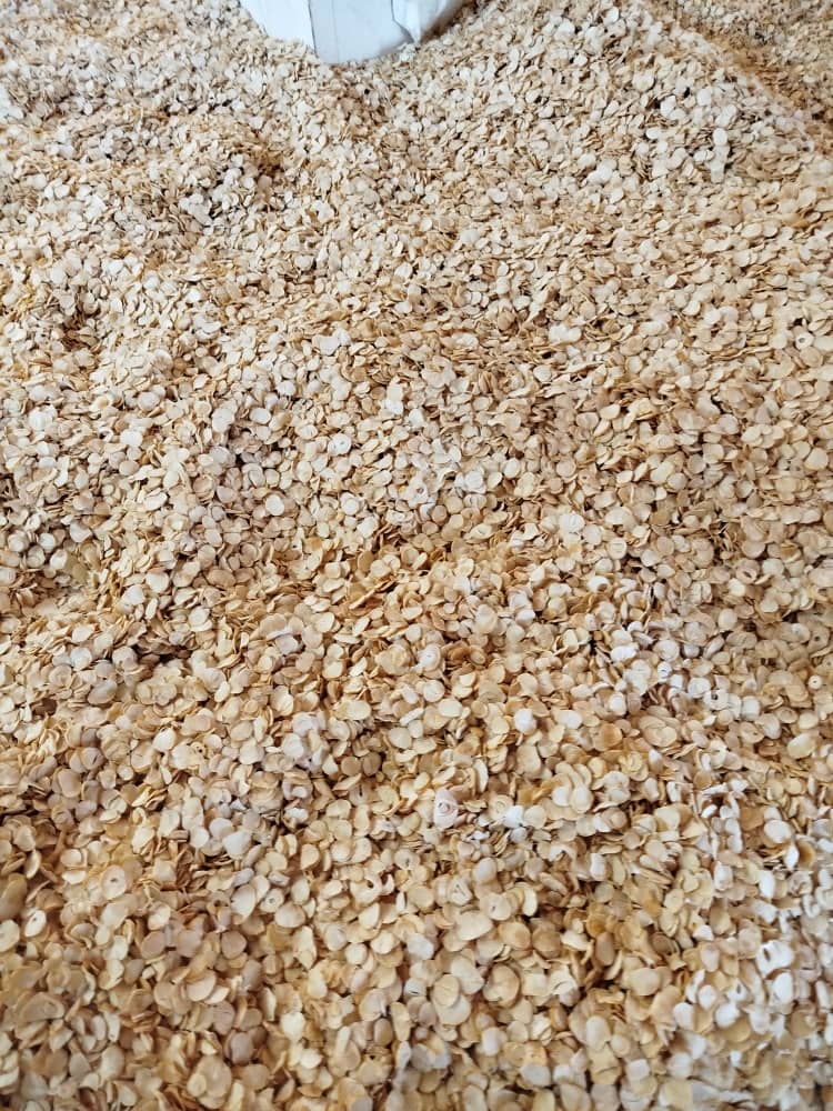 تصویر 1 از فروش بی نظیر استثنایی سیر مروارید