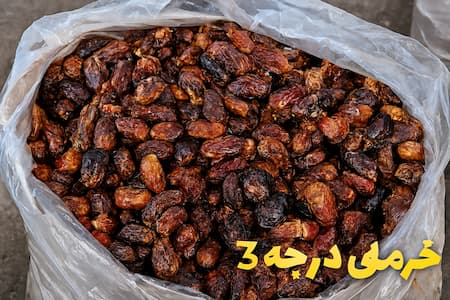 قیمت ضایعات خرما