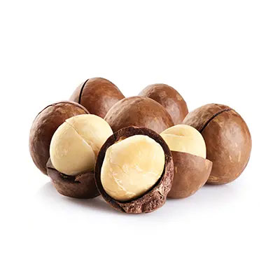 تصویر 1 از خرید و قیمت فندق ماکادمیا + فروش عمده