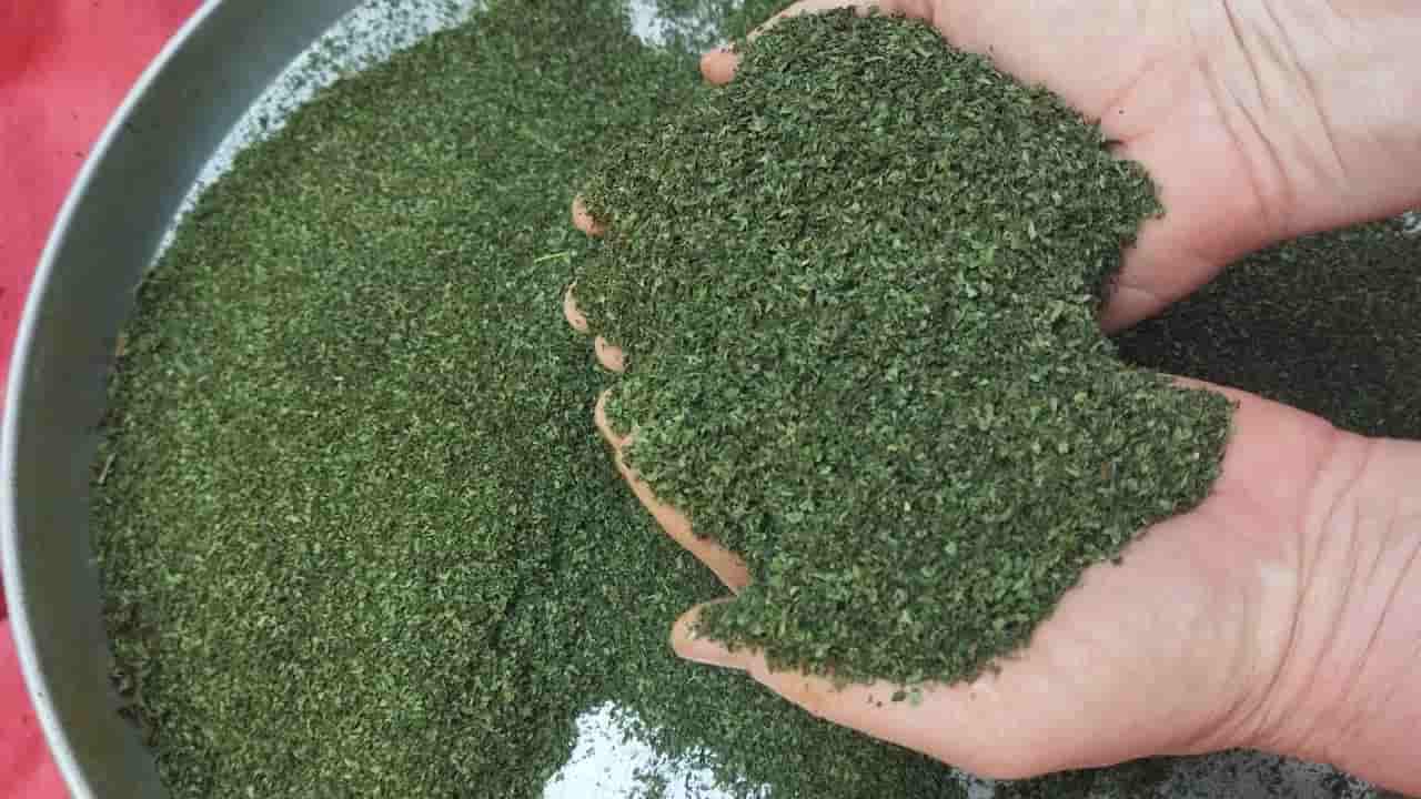 تصویر 4 از قیمت خرید نعنا خشک محلی با فروش عمده