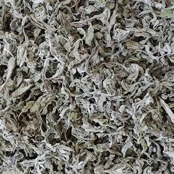 تصویر 3 از خرید و فروش پونه خشک کوهی با شرایط فوق العاده