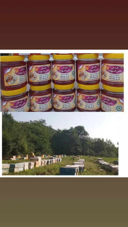 تصویر 1 از فروش عسل چند گیاه طبیعی + خرید به صرفه