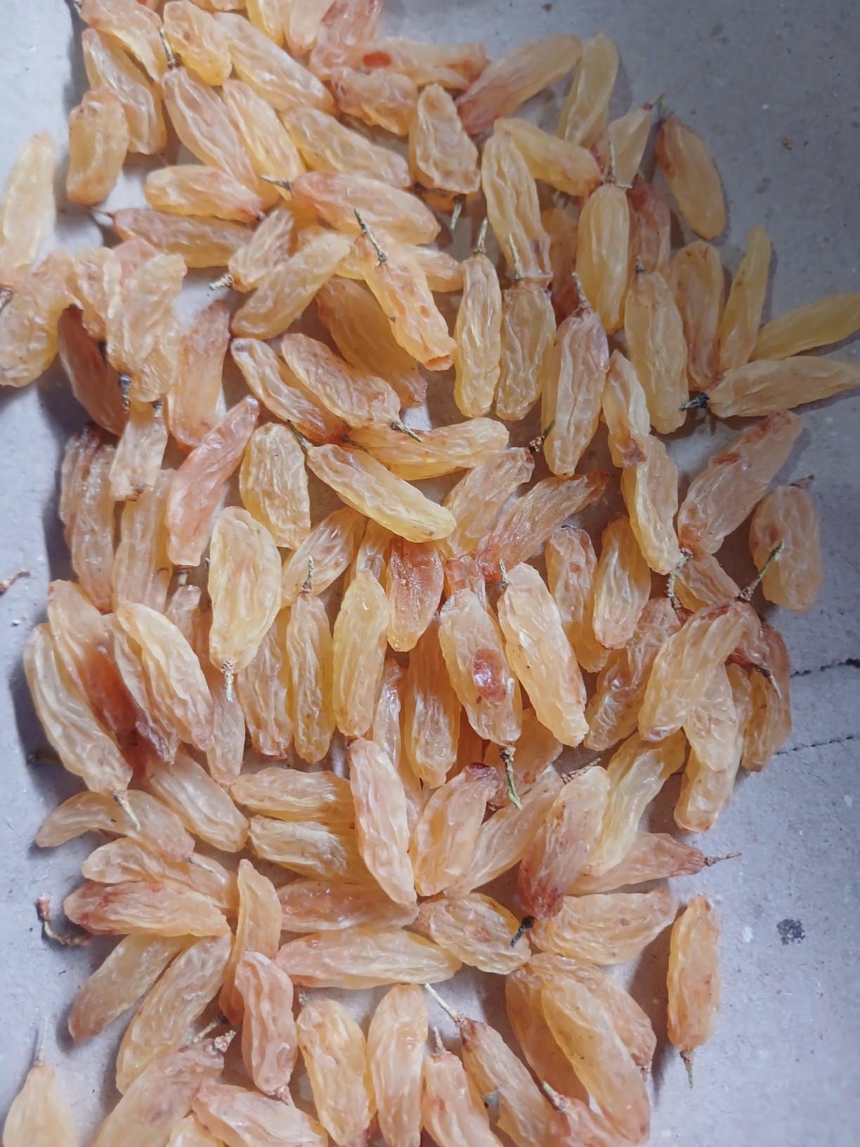 تصویر 1 از قیمت خرید کشمش زرد قلمی + فروش عمده