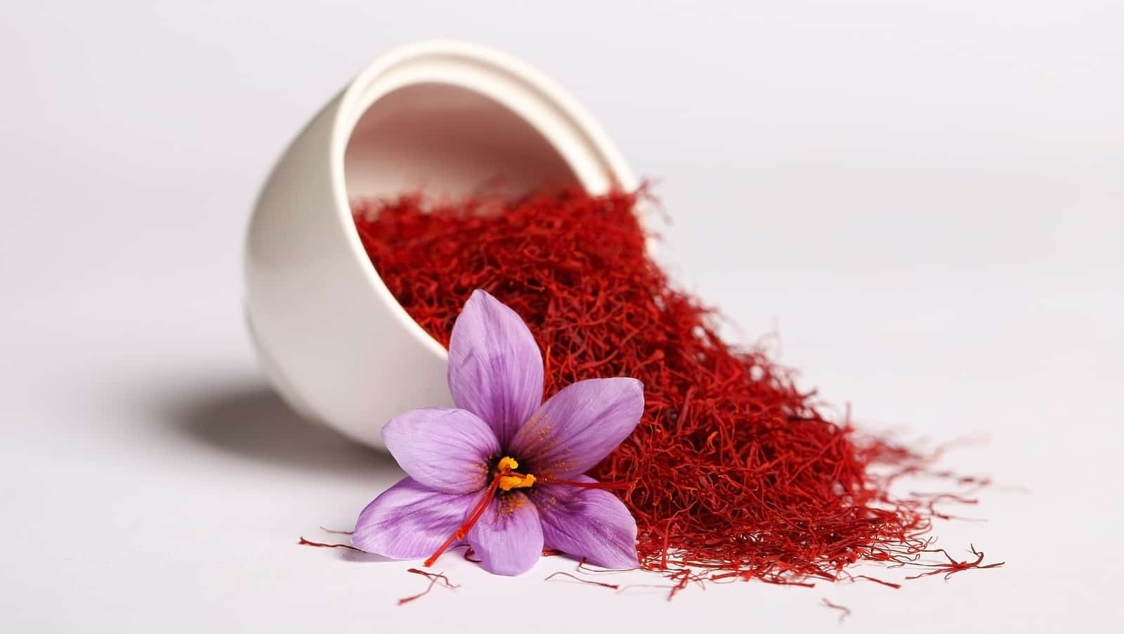تصویر 3 از قیمت خرید زعفران اصل + فروش ویژه