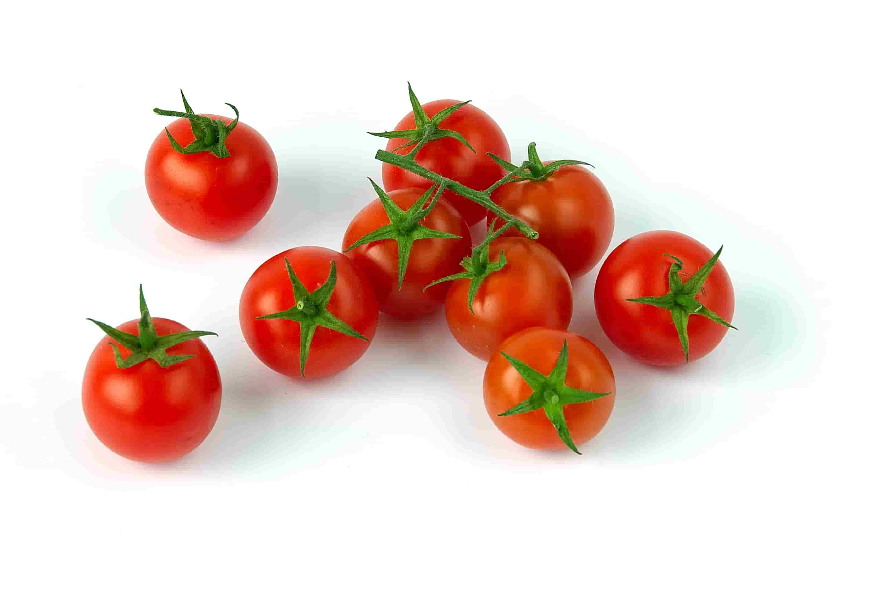 تصویر 4 از قیمت روز گوجه گیلاسی
