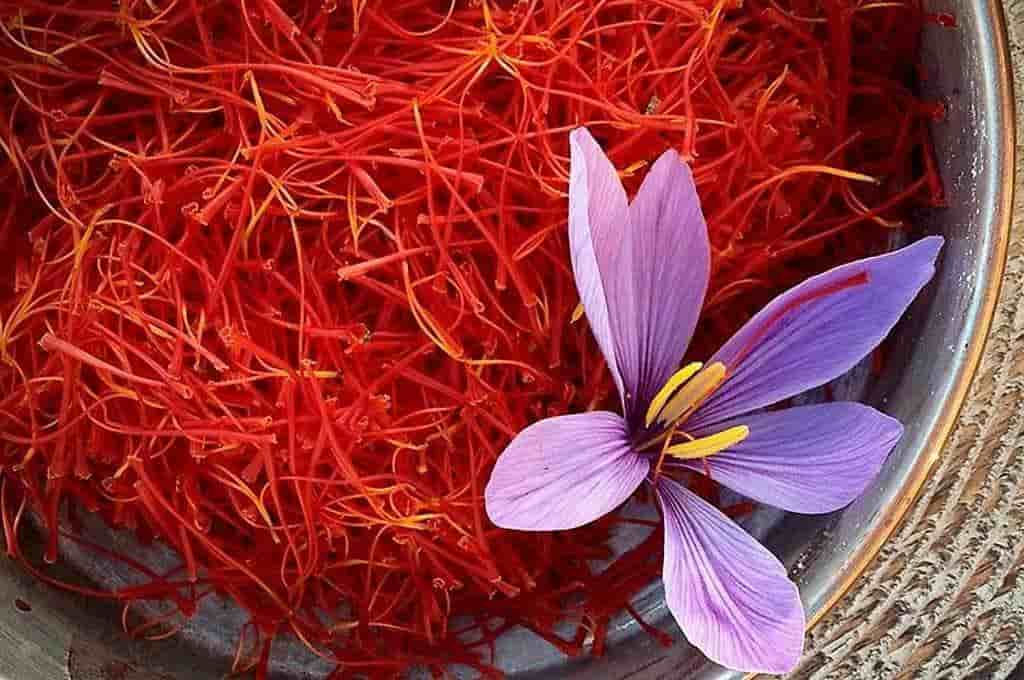 تصویر 5 از قیمت زعفران رشته ای + خرید باور نکردنی