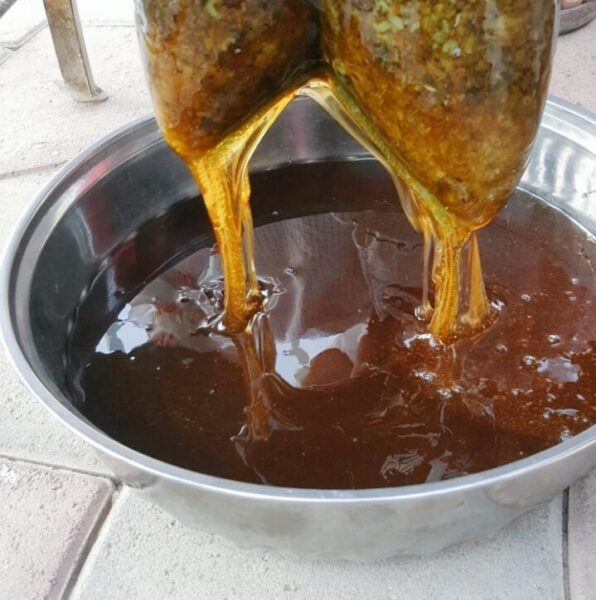 تصویر 1 از خرید و فروش اقتصادی عسل جنگلی