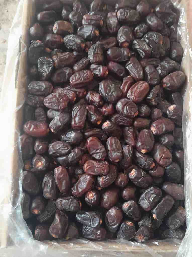 تصویر 1 از خرما‌ مضافتی ایرانشهر + فروش‌ استثنایی با قیمت‌ ارزان‌