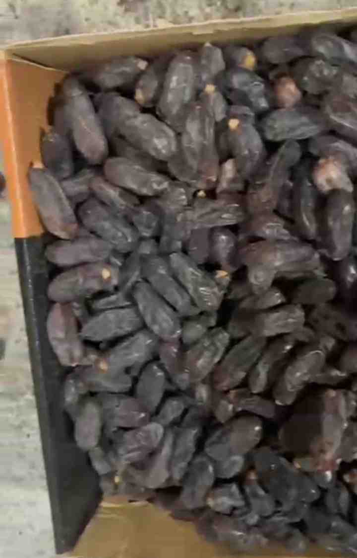 تصویر 1 از خرید و‌ فروش‌ خرما‌ ربی ایرانشهر + فروش‌ عمده‌ با قیمت‌ مناسب