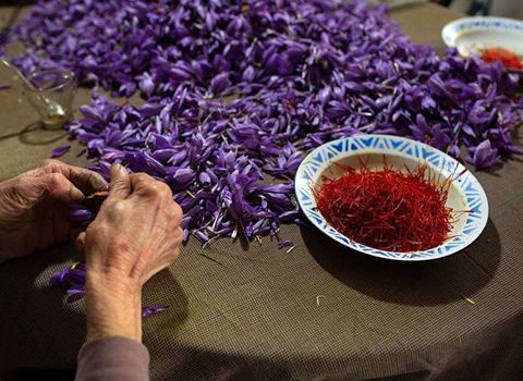 تصویر 3 از قیمت زعفران سرگل + خرید باور نکردنی