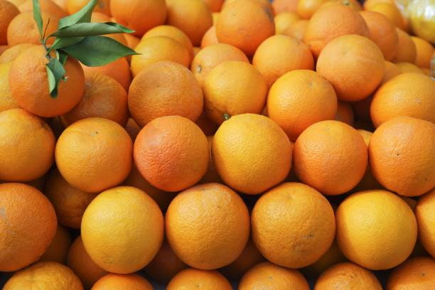 تصویر 2 از قیمت خرید پرتقال درجه یک + فروش ویژه