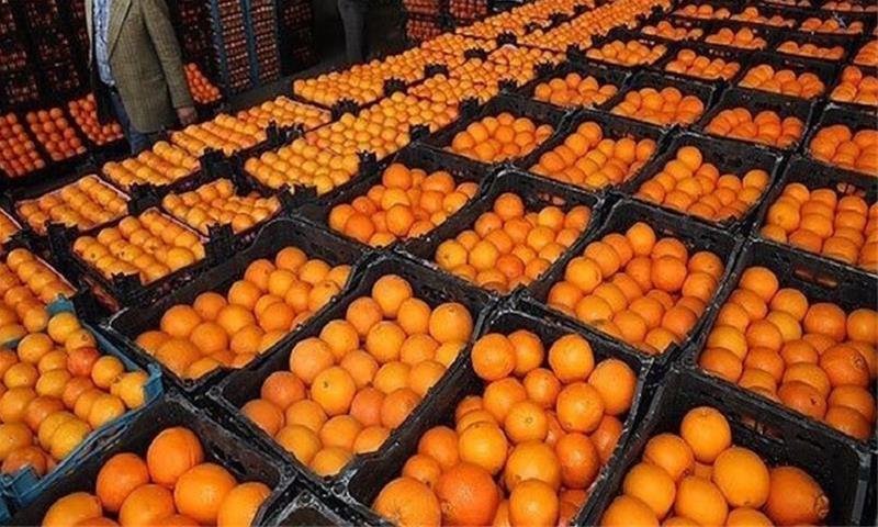 تصویر 3 از قیمت خرید کنسانتره پرتقال رامسر عمده به صرفه و ارزان