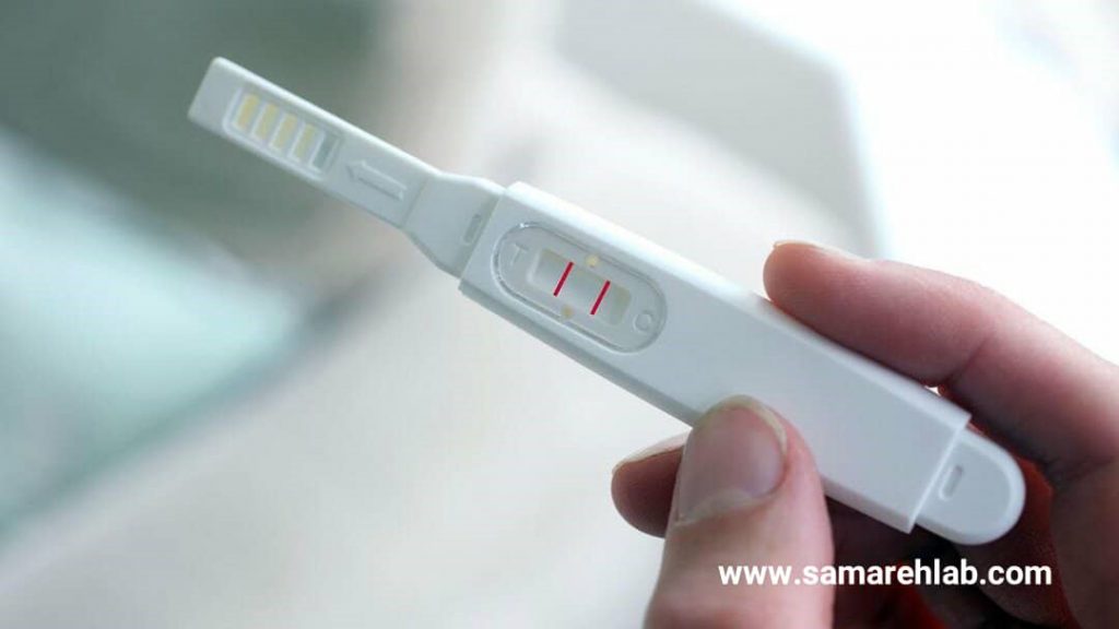 تصویر 3 از قیمت خرید بی بی چک + فروش عمده