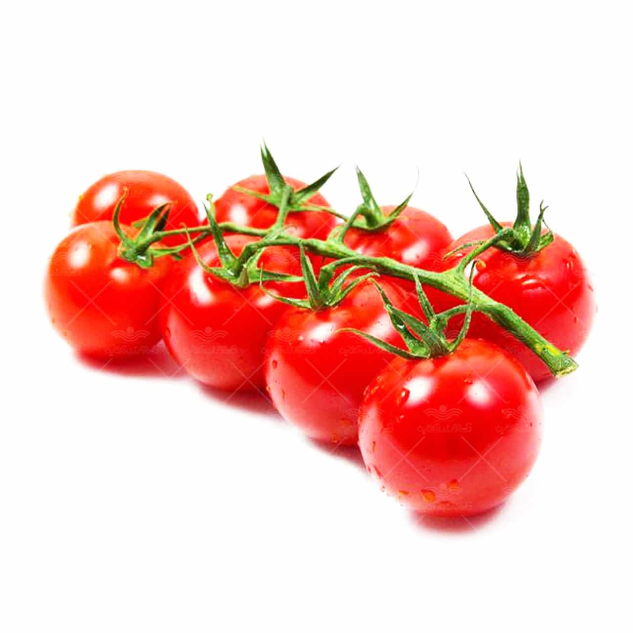 خرید گوجه گیلاسی