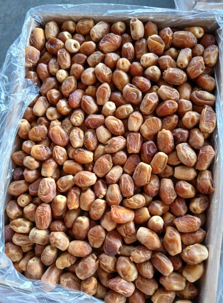 تصویر 2 از خرید انواع خرما زاهدی بهترین کیفیت صادراتی درجه یک