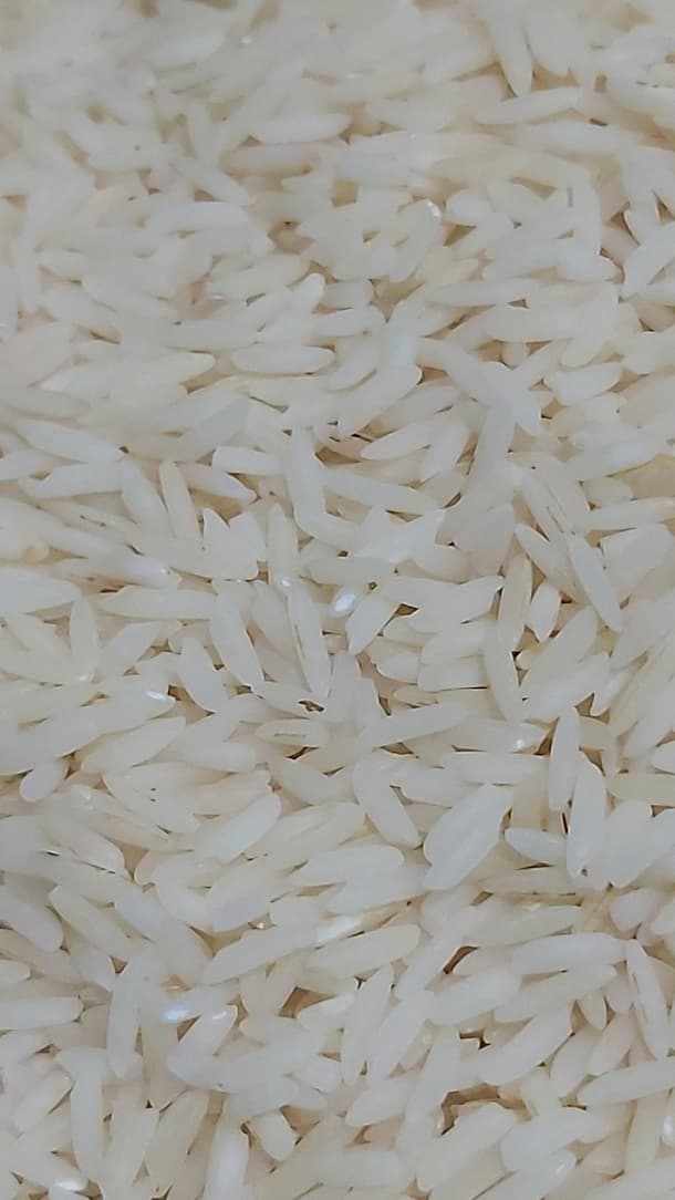 تصویر 1 از قیمت ویژه برنج هاشمی درجه یک سورتینگ شده