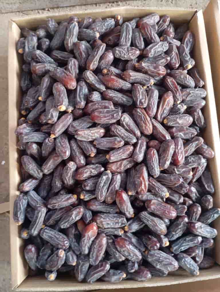 تصویر 2 از قیمت خرما ربی ایرانشهر + فروش عمده